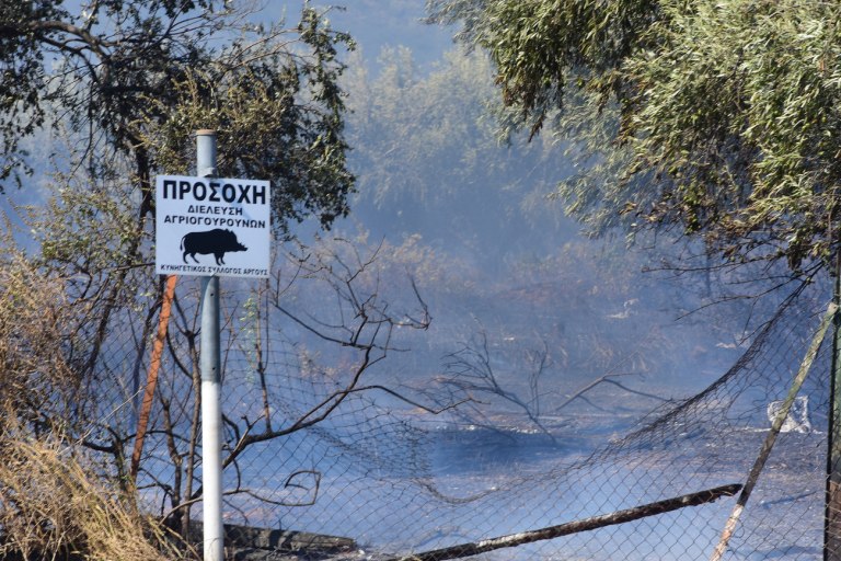 Τραγωδία στην Αρκαδία: Από λάθος την πλήρωσε ο άνθρωπος λέει μέλος της παρέας των κυνηγών