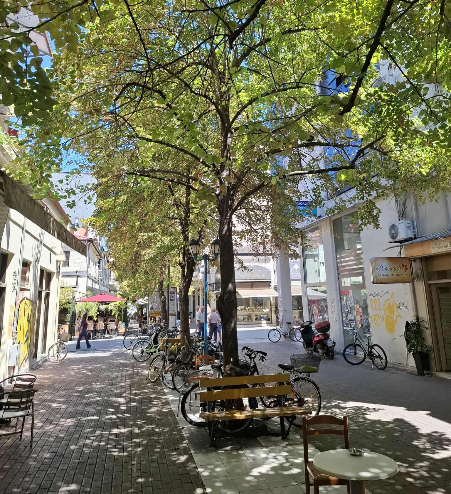 Καρδίτσα: Αντιδράσεις για