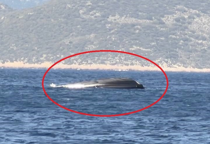 Καστελόριζο: Βίντεο από το βυθισμένο σκάφος της Ftontex  Η ανακοίνωση του Λιμενικού