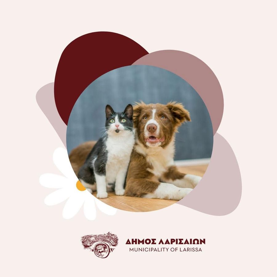 Λάρισα: Δράση γνωριμίας με τα αδέσποτα στο Δημοτικό Καταφύγιο Ζώων