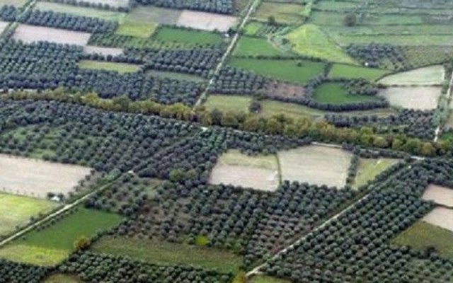Με αλλαγές για τα πρόστιμα η ΚΥΑ για τον καθαρισμό οικοπέδων