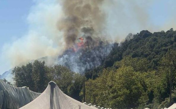 Φωτιά στο Παγγαίο Καβάλας  Eπιχειρούν 2 αεροσκάφη και 1 ελικόπτερο