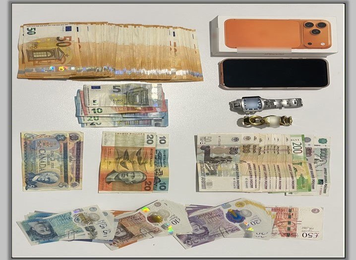 Τρίκαλα: Παρίσταναν τους