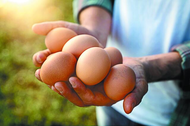 Το αυγό κάνει comeback Γιατί το