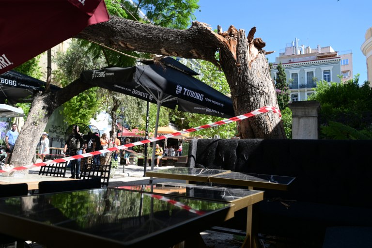 Πτώση δέντρου: Εχασα πολύ αίμα, είπε η τραυματίας