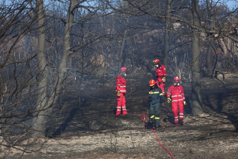 ΚΚΕ: Η φετινή Παγκόσμια Ημέρα Δασών βρίσκει τη χώρα με 480.000 στρέμματα καμένων δασικών εκτάσεων μόνο το 2025
