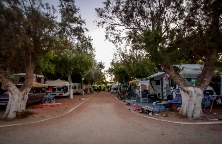 Φοινικούντα: Διεθνές