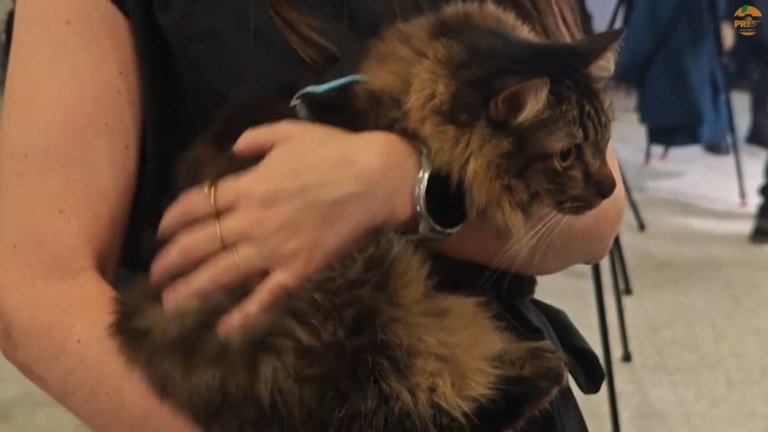 Καταφέραμε το ακατόρθωτο: