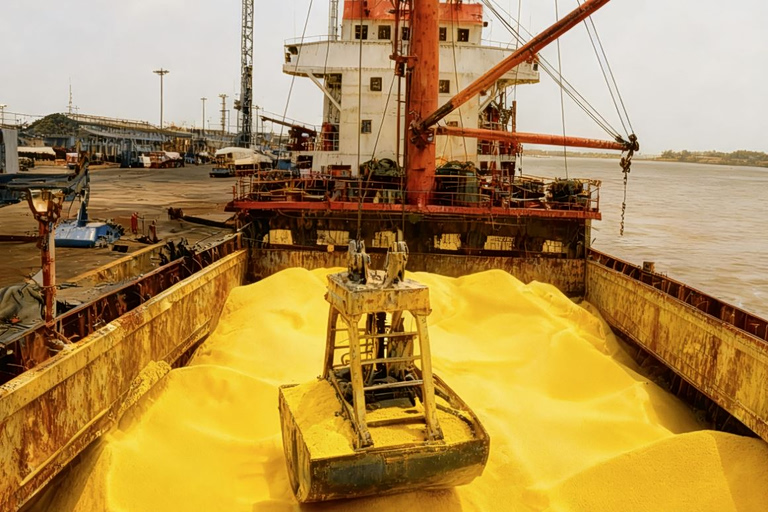 O άγνωστος βασιλιάς των