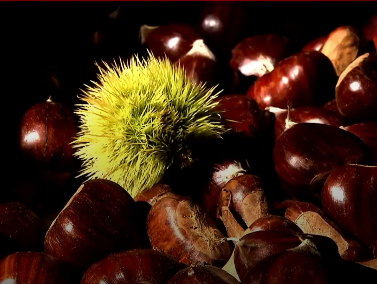 Μακρυρράχη: Λαβωμένη η συγκομιδή των θησαυρών της Πηλιορείτικης Γης