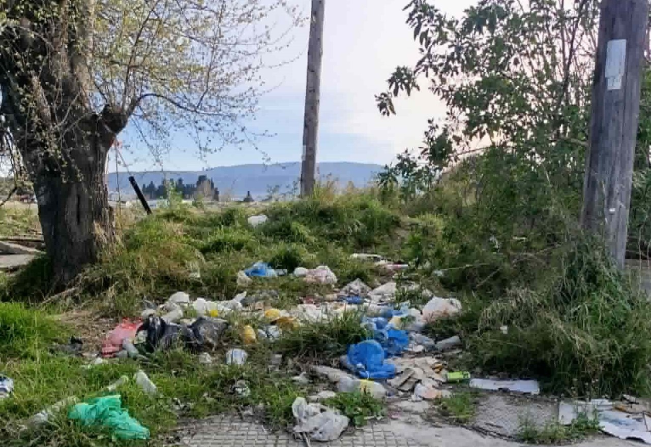 Βόλος: Ερώτηση Μόσχου για