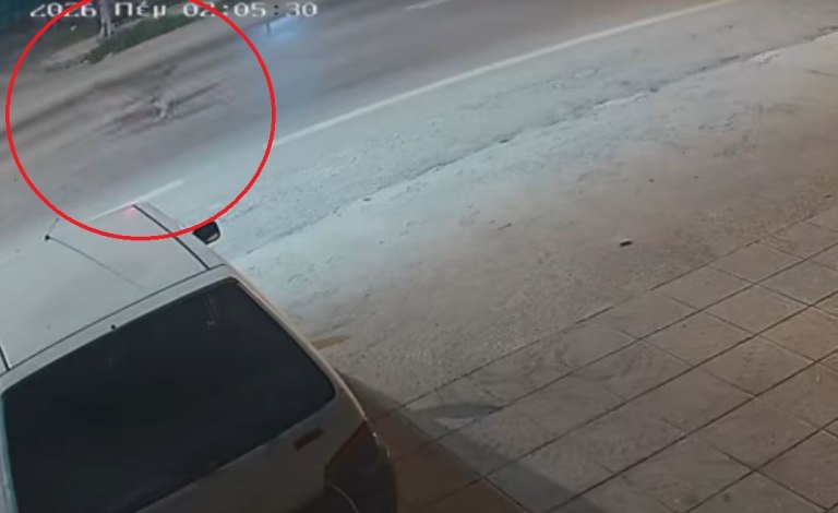 Αλεξάνδρεια: Λύκοι κάνουν