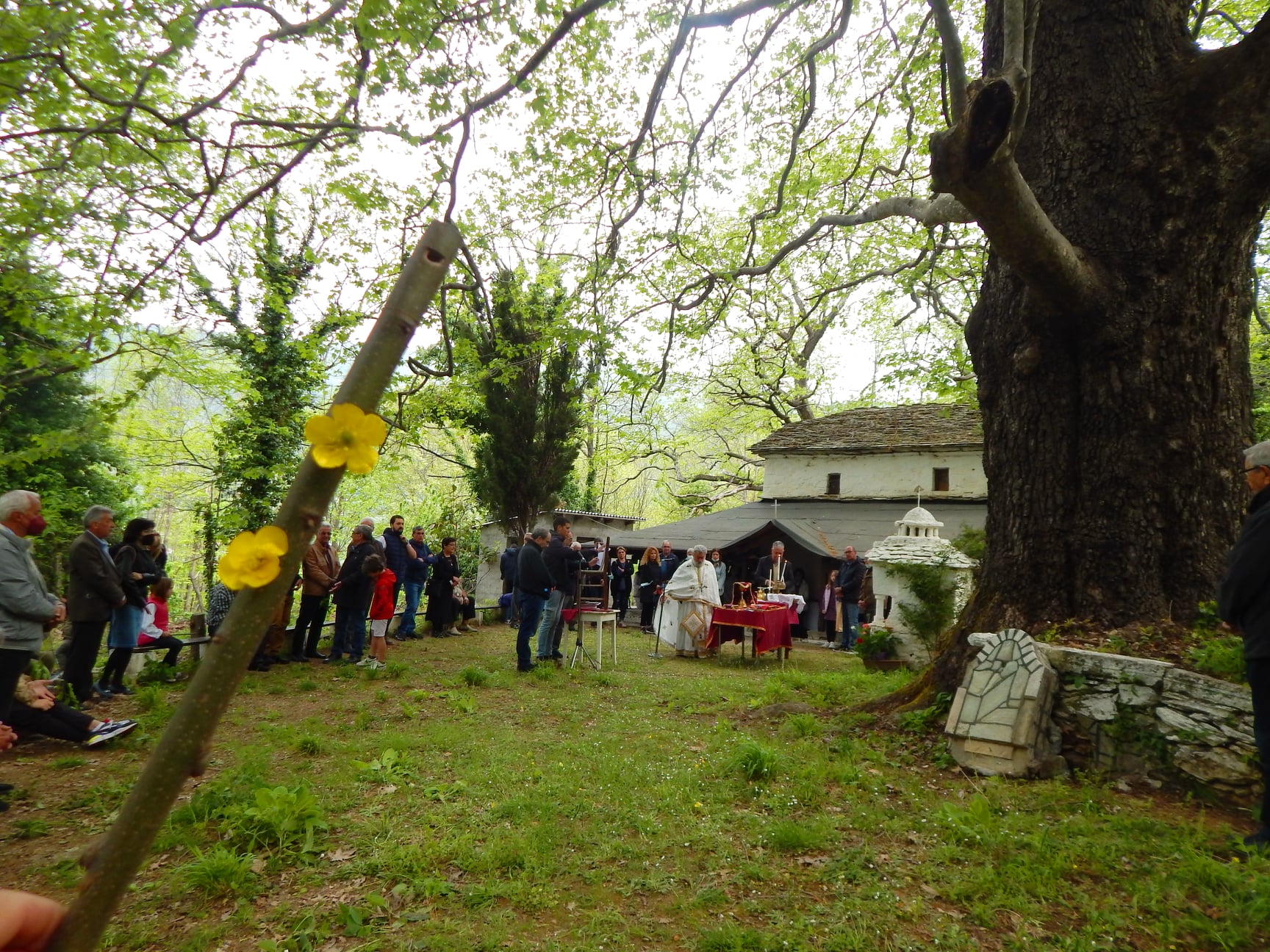 Σύναξη αυλών στον Άγιο