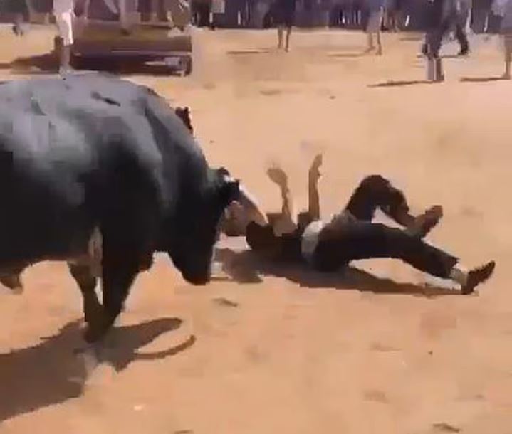 Ισπανία: Σοκαριστικό βίντεο  Η στιγμή που ταύρος τραυματίζει σοβαρά 17χρονο