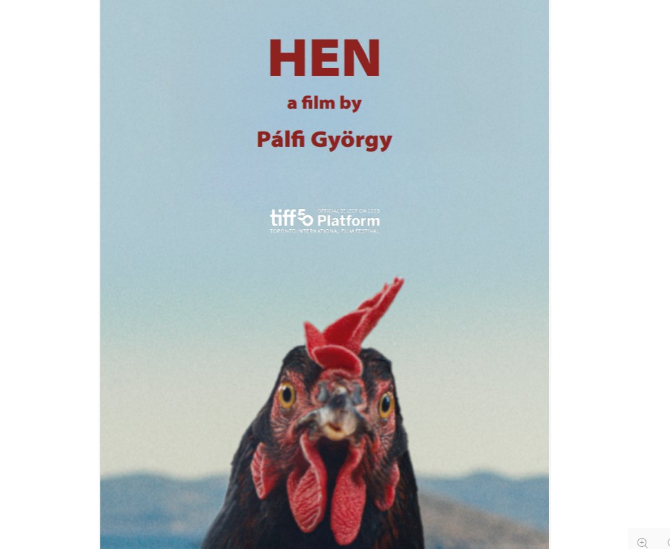 SSIFF73: Η ΕΡΤ στο κόκκινο χαλί του Φεστιβάλ με μια Κότα;