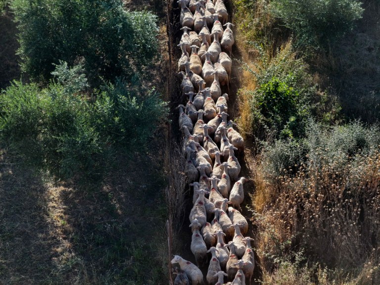 Σκάνδαλο ΟΠΕΚΕΠΕ: Τα γαλάζια καρφιά για τον πράσινο Χνάρη  Η απάντηση του βουλευτή Ρεθύμνης