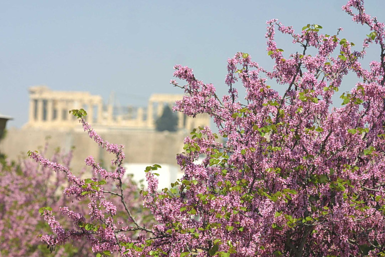 Καιρός: Αίθριος τη Μεγάλη