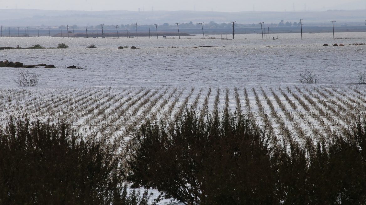 Στη Βουλή οι πληρωμές των πλημμυροπαθών δενδροκαλλιεργητών  Αρμοδιότητα της κρατικής αρωγής η ΚΥΑ για την εκκαθάριση, απαντά ο Γ. Ανδριανός στον Β. Κόκκαλη