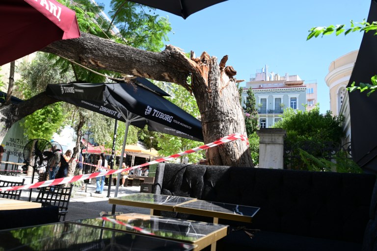 Βίντεο  ντοκουμέντο από την πτώση του δέντρου στην πλατεία Αγ. Ειρήνης