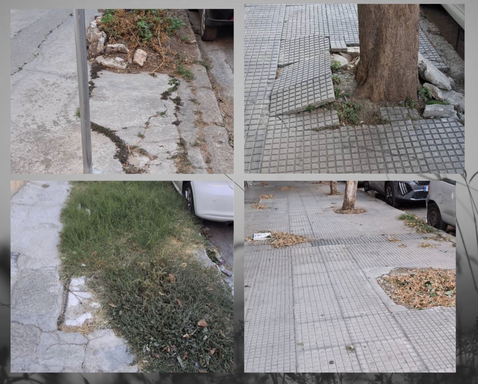 Προβλήματα καθημερινότητας στον Βόλο καταγγέλλει η Περιβαλλοντική Πρωτοβουλία