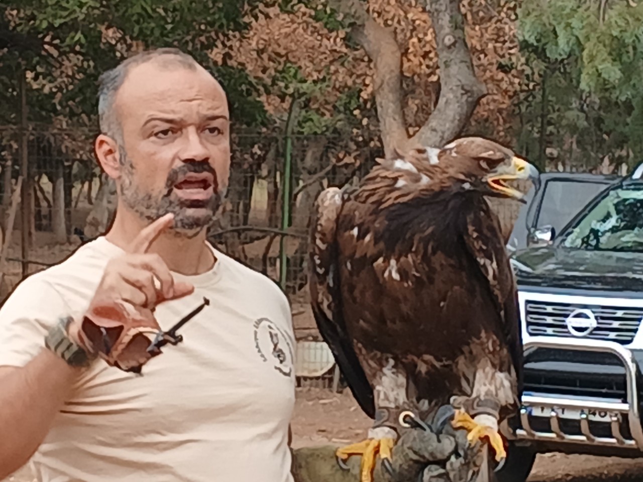 Αλμυρός: Παρουσίαση αρπακτικών πτηνών στο δάσος Κουρί στο πλαίσιο σεμιναρίου για την προστασία του Χρυσογέρακου