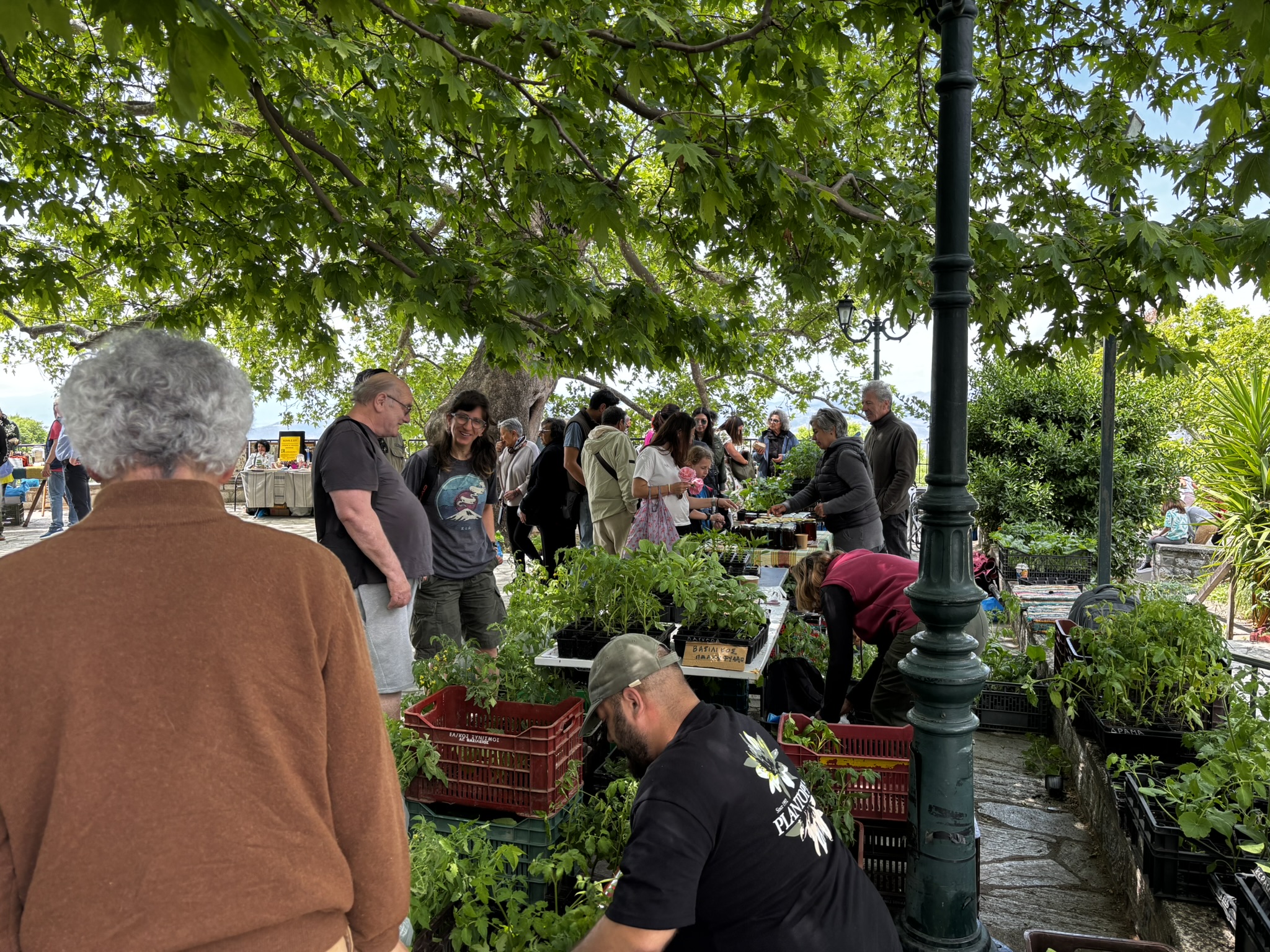 Στις Σταγιάτες η γιορτή
