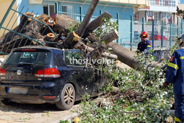 Έπεσαν δέντρα στη
