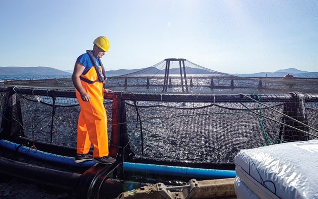 ΥΠΑΑΤ: Πρόσκληση ύψους 4 εκατ. ευρώ για τον χωροταξικό σχεδιασμό στις υδατοκαλλιέργειες