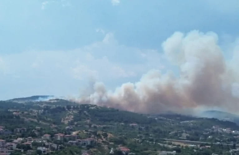 Βρέθηκε σορός στη φωτιά στο Δερβένι Θεσσαλονίκης – «Βροχή» τα 112 και εκκένωση οικισμού