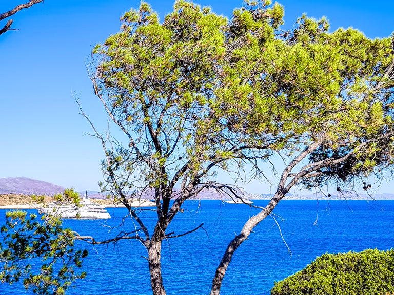 Καιρός: Μελτέμια και απογευματινή αστάθεια με βροχές και καταιγίδες