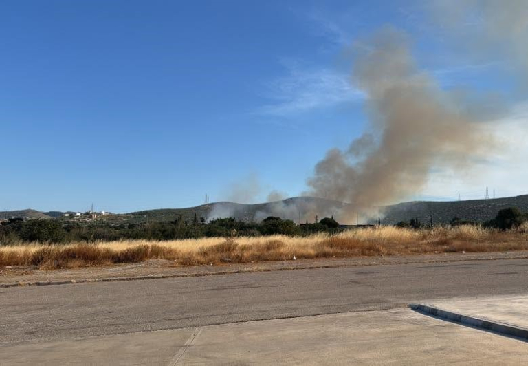 Φωτιά στην Κερατέα κοντά στη Μονή Θεοσκεπάστου – Μεγάλη κινητοποίηση της Πυροσβεστικής