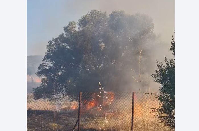 Υπό έλεγχο η φωτιά στην Κερατέα