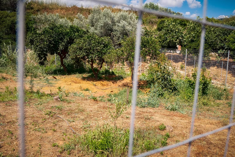 «Μιλούσα μαζί του, δεν είχα καταλάβει τίποτα» – Τι λέει η σύζυγος του δολοφόνου της Σταυρούλας Λεβεντάκη