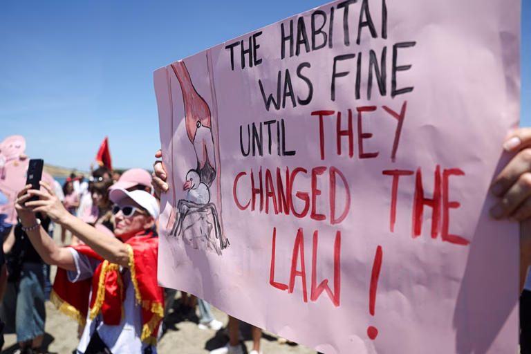 Κομισιόν για θέρετρο Κούσνερ στην Αλβανία: Παρακολουθούμε στενά τις εξελίξεις – Συμμόρφωση στους περιβαλλοντικούς κανόνες