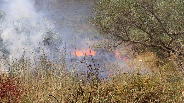 Δύο συλλήψεις για φωτιές από αμέλεια σε Λακωνία και Αχαΐα