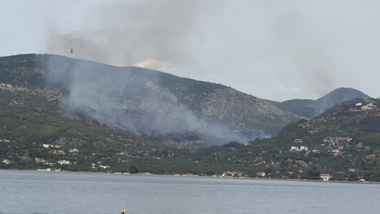 Λουτράκι: Συνελήφθη 70χρονος Γάλλος για τη φωτιά στην Περαχώρα – Χωρίς ενεργές εστίες το πύρινο μέτωπο