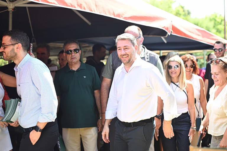Ανδρουλάκης: Καταθέτω άμεσα επίκαιρη ερώτηση στον Μητσοτάκη – Εφτά χρόνια είναι τροχονόμος ισχυρών οικονομικών συμφερόντων